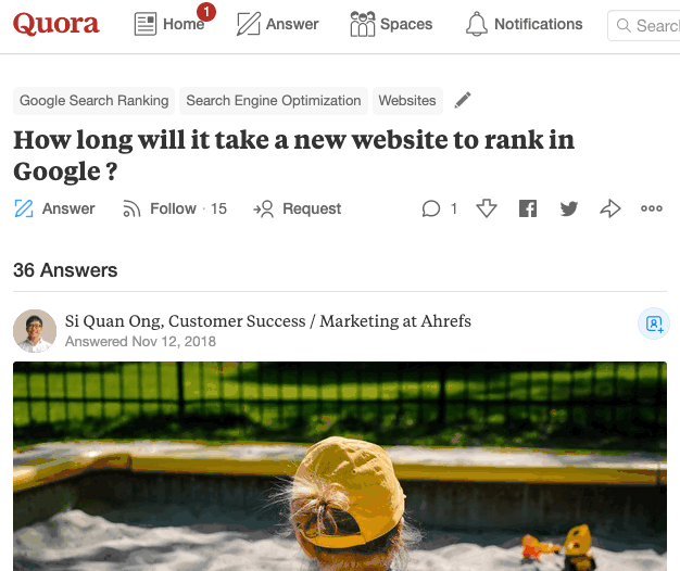 新しいウェブサイトがGoogleでランクインするのにかかる時間は?