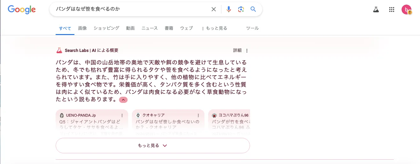 AI Overview(検索エンジンのAI機能)